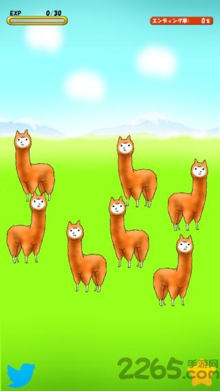兄贵羊驼官方手机版(alpaca)下载,兄贵羊驼,羊驼游戏,进化游戏